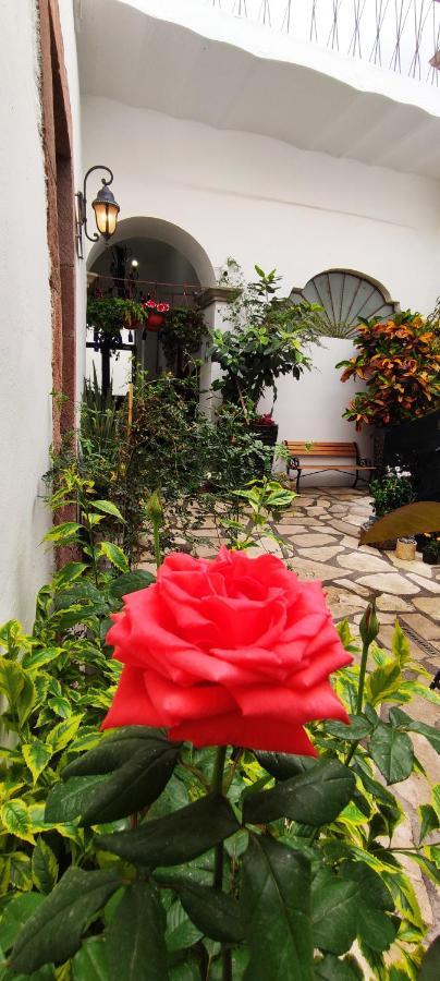 El Jardín de la Abuela Hotel Querétaro Exterior foto